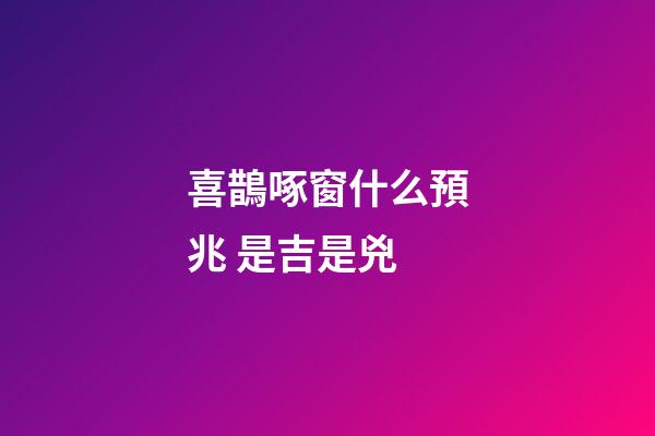 喜鵲啄窗什么預兆 是吉是兇